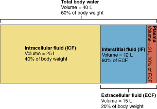 Reservoirs of water in the human body.